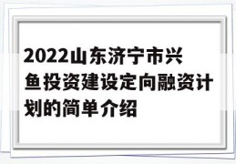 2022山东济宁市兴鱼投资建设定向融资计划的简单介绍