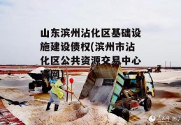 山东滨州沾化区基础设施建设债权(滨州市沾化区公共资源交易中心官网)