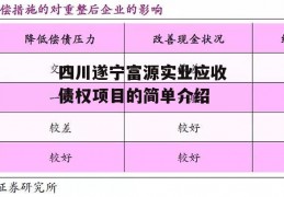 四川遂宁富源实业应收债权项目的简单介绍