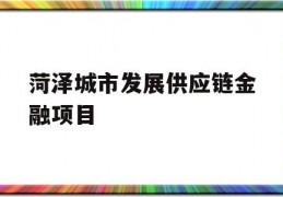 菏泽城市发展供应链金融项目