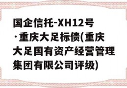 国企信托-XH12号·重庆大足标债(重庆大足国有资产经营管理集团有限公司评级)