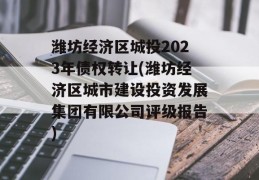 潍坊经济区城投2023年债权转让(潍坊经济区城市建设投资发展集团有限公司评级报告)