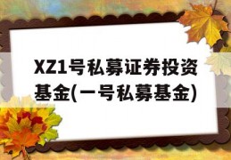 XZ1号私募证券投资基金(一号私募基金)