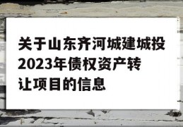 关于山东齐河城建城投2023年债权资产转让项目的信息