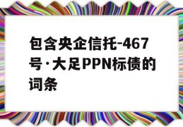 包含央企信托-467号·大足PPN标债的词条