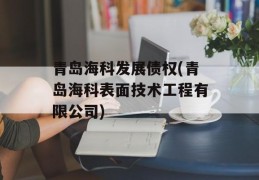 青岛海科发展债权(青岛海科表面技术工程有限公司)