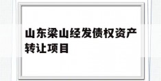 山东梁山经发债权资产转让项目