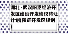 湖北·武汉阳逻经济开发区建设开发债权转让计划(阳逻开发区规划)