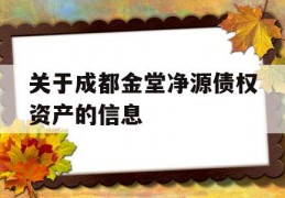 关于成都金堂净源债权资产的信息