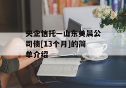 央企信托—山东美晨公司债[13个月]的简单介绍