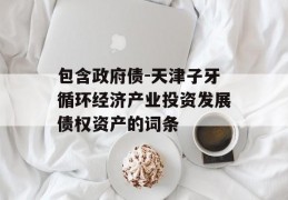 包含政府债-天津子牙循环经济产业投资发展债权资产的词条