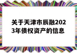 关于天津市辰融2023年债权资产的信息