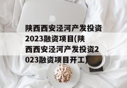 陕西西安泾河产发投资2023融资项目(陕西西安泾河产发投资2023融资项目开工)