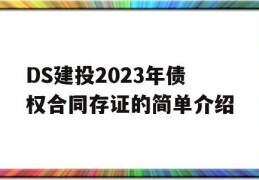 DS建投2023年债权合同存证的简单介绍