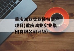 重庆鸿业实业债权资产项目(重庆鸿业实业集团有限公司评级)