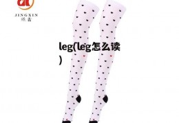 leg(leg怎么读)