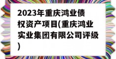 2023年重庆鸿业债权资产项目(重庆鸿业实业集团有限公司评级)