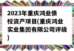 2023年重庆鸿业债权资产项目(重庆鸿业实业集团有限公司评级)