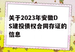 关于2023年安徽DS建投债权合同存证的信息