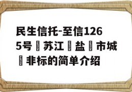 民生信托-至信1265号‮苏江‬盐‮市城‬非标的简单介绍