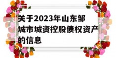 关于2023年山东邹城市城资控股债权资产的信息