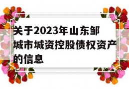 关于2023年山东邹城市城资控股债权资产的信息