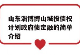 山东淄博博山城投债权计划政府债定融的简单介绍