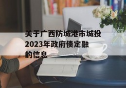 关于广西防城港市城投2023年政府债定融的信息