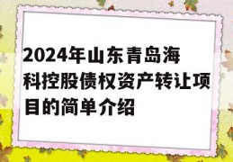 2024年山东青岛海科控股债权资产转让项目的简单介绍