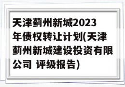 天津蓟州新城2023年债权转让计划(天津蓟州新城建设投资有限公司 评级报告)