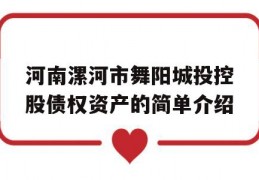 河南漯河市舞阳城投控股债权资产的简单介绍