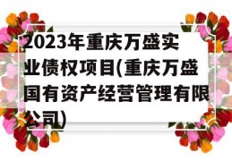 2023年重庆万盛实业债权项目(重庆万盛国有资产经营管理有限公司)