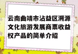 云南曲靖市沾益区溯源文化旅游发展商票收益权产品的简单介绍