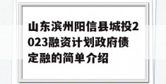 山东滨州阳信县城投2023融资计划政府债定融的简单介绍