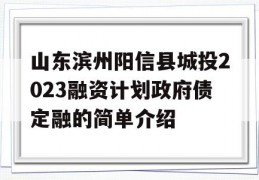 山东滨州阳信县城投2023融资计划政府债定融的简单介绍