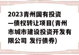 2023青州国有投资—债权转让项目(青州市城市建设投资开发有限公司 发行债券)