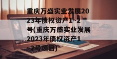 重庆万盛实业发展2023年债权资产1~2号(重庆万盛实业发展2023年债权资产1~2号项目)