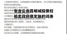 包含云南昆明城投债权拍卖政府债定融的词条