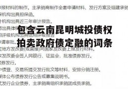 包含云南昆明城投债权拍卖政府债定融的词条