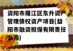 资阳市雁江区东升资产管理债权资产项目(益阳市融资担保有限责任公司)