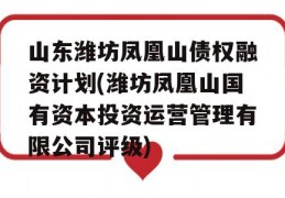 山东潍坊凤凰山债权融资计划(潍坊凤凰山国有资本投资运营管理有限公司评级)