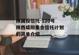 陕国投信托-120号陕西咸阳集合信托计划的简单介绍