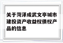 关于菏泽成武文亭城市建投资产收益权债权产品的信息