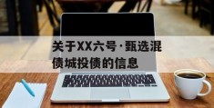 关于XX六号·甄选混债城投债的信息