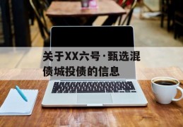 关于XX六号·甄选混债城投债的信息