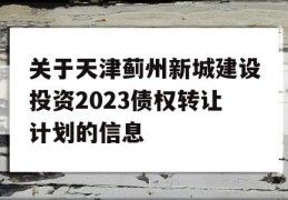 关于天津蓟州新城建设投资2023债权转让计划的信息