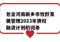 包含河南新乡市牧野发展管理2023年债权融资计划的词条