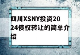 四川XSNY投资2024债权转让的简单介绍