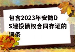 包含2023年安徽DS建投债权合同存证的词条