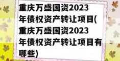 重庆万盛国资2023年债权资产转让项目(重庆万盛国资2023年债权资产转让项目有哪些)